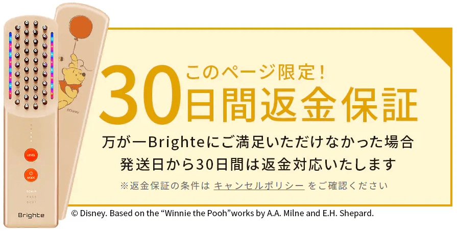 エレキブラシプラスの
30日返金保証